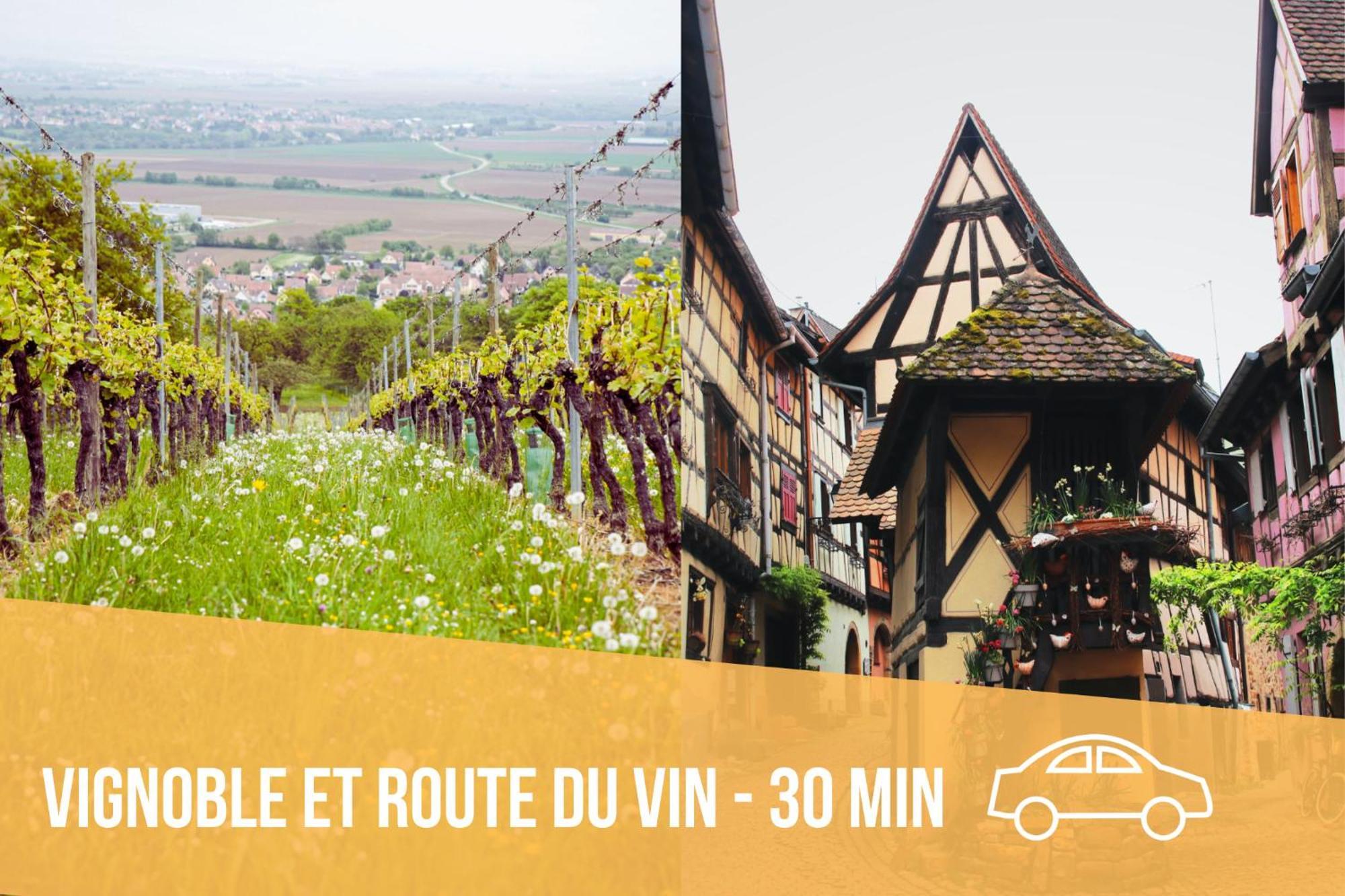 Les Pinots D'Alsace - 3 Bungalows Climatises Avec Tv - Proche Europa Park Boofzheim Habitación foto